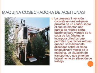 MAQUINA COSECHADORA DE PIÑALa cosecha se realiza cuando de acuerdo a muestras  con el brix ( que es una medida del grado de dulzura de la piña), alcanza un 14 en MD2  y 12 en champaca.