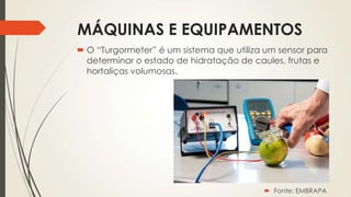 MÁQUINAS E EQUIPAMENTOS
 O “Turgormeter” é um sistema que utiliza um sensor para
determinar o estado de hidratação de caules, frutas e
hortaliças volumosas.
 Fonte: EMBRAPA
 