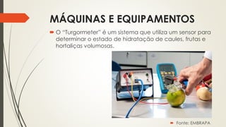 MÁQUINAS E EQUIPAMENTOS
 O “Turgormeter” é um sistema que utiliza um sensor para
determinar o estado de hidratação de caules, frutas e
hortaliças volumosas.
 Fonte: EMBRAPA
 