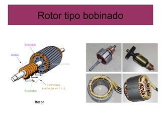 Rotor tipo bobinado
 