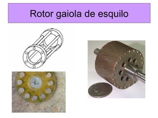 Rotor gaiola de esquilo
 