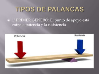  1º PRIMER GÉNERO: El punto de apoyo está
entre la potencia y la resistencia
 