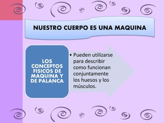 A 
NUESTRO CUERPO ES UNA MAQUINA 
• Pueden utilizarse 
para describir 
como funcionan 
conjuntamente 
los huesos y los 
músculos. 
LOS 
CONCEPTOS 
FISICOS DE 
MAQUINA Y 
DE PALANCA 
 