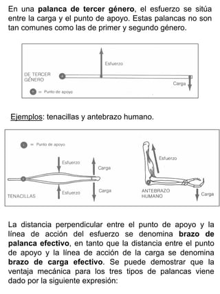 En una palanca de tercer género, el esfuerzo se sitúa
entre la carga y el punto de apoyo. Estas palancas no son
tan comunes como las de primer y segundo género.

Ejemplos: tenacillas y antebrazo humano.

La distancia perpendicular entre el punto de apoyo y la
línea de acción del esfuerzo se denomina brazo de
palanca efectivo, en tanto que la distancia entre el punto
de apoyo y la línea de acción de la carga se denomina
brazo de carga efectivo. Se puede demostrar que la
ventaja mecánica para los tres tipos de palancas viene
dado por la siguiente expresión:

 