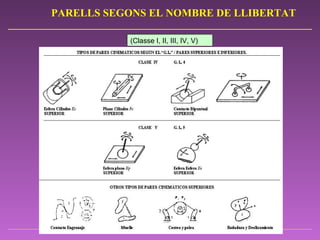 (Classe I, II, III, IV, V) PARELLS SEGONS EL NOMBRE DE LLIBERTAT 