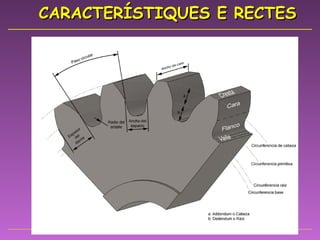 CARACTERÍSTIQUES E RECTES 
