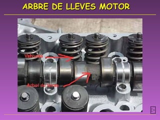 ARBRE DE LLEVES MOTOR 