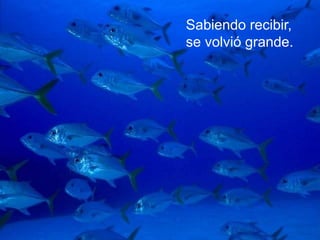 Sabiendo recibir,
se volvió grande.
 