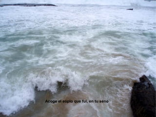 Acoge el soplo que fui, en tu seno 