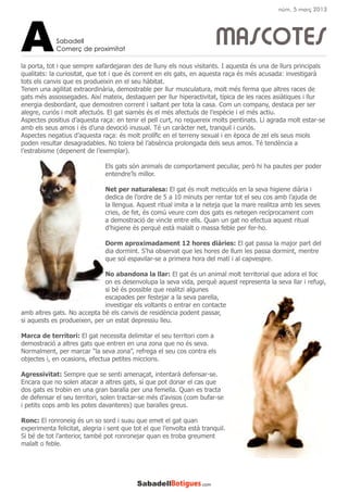 MASCOTES
la porta, tot i que sempre xafardejaran des de lluny els nous visitants. I aquesta és una de llurs principals
qualitats: la curiositat, que tot i que és corrent en els gats, en aquesta raça és més acusada: investigarà
tots els canvis que es produeixin en el seu hàbitat.
Tenen una agilitat extraordinària, demostrable per llur musculatura, molt més ferma que altres races de
gats més assossegades. Així mateix, destaquen per llur hiperactivitat, típica de les races asiàtiques i llur
energia desbordant, que demostren corrent i saltant per tota la casa. Com un company, destaca per ser
alegre, curiós i molt afectuós. El gat siamès és el més afectuós de l’espècie i el més actiu.
Aspectes positius d’aquesta raça: en tenir el pell curt, no requereix molts pentinats. Li agrada molt estar-se
amb els seus amos i és d’una devoció inusual. Té un caràcter net, tranquil i curiós.
Aspectes negatius d’aquesta raça: és molt prolífic en el terreny sexual i en època de zel els seus miols
poden resultar desagradables. No tolera bé l’absència prolongada dels seus amos. Té tendència a
l’estrabisme (depenent de l’exemplar).
Els gats són animals de comportament peculiar, però hi ha pautes per poder
entendre’ls millor.
Net per naturalesa: El gat és molt meticulós en la seva higiene diària i
dedica de l’ordre de 5 a 10 minuts per rentar tot el seu cos amb l’ajuda de
la llengua. Aquest ritual imita a la neteja que la mare realitza amb les seves
cries, de fet, és comú veure com dos gats es netegen recíprocament com
a demostració de vincle entre ells. Quan un gat no efectua aquest ritual
d’higiene és perquè està malalt o massa feble per fer-ho.
Dorm aproximadament 12 hores diàries: El gat passa la major part del
dia dormint. S’ha observat que les hores de llum les passa dormint, mentre
que sol espavilar-se a primera hora del matí i al capvespre.
No abandona la llar: El gat és un animal molt territorial que adora el lloc
on es desenvolupa la seva vida, perquè aquest representa la seva llar i refugi,
si bé és possible que realitzi algunes
escapades per festejar a la seva parella,
investigar els voltants o entrar en contacte
amb altres gats. No accepta bé els canvis de residència podent passar,
si aquests es produeixen, per un estat depressiu lleu.
Marca de territori: El gat necessita delimitar el seu territori com a
demostració a altres gats que entren en una zona que no és seva.
Normalment, per marcar “la seva zona”, refrega el seu cos contra els
objectes i, en ocasions, efectua petites miccions.
Agressivitat: Sempre que se senti amenaçat, intentarà defensar-se.
Encara que no solen atacar a altres gats, sí que pot donar el cas que
dos gats es trobin en una gran baralla per una femella. Quan es tracta
de defensar el seu territori, solen tractar-se més d’avisos (com bufar-se
i petits cops amb les potes davanteres) que baralles greus.
Ronc: El ronroneig és un so sord i suau que emet el gat quan
experimenta felicitat, alegria i sent que tot el que l’envolta està tranquil.
Si bé de tot l’anterior, també pot ronronejar quan es troba greument
malalt o feble.
Sabadell
Comerç de proximitatA
núm. 5 març 2013
 