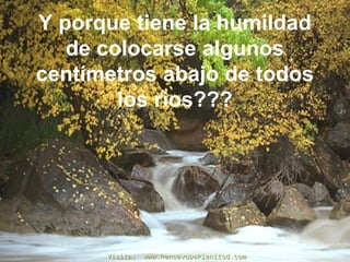 Y porque tiene la humildad
de colocarse algunos
centímetros abajo de todos
los rios???
Visita: www.RenuevoDePlenitud.comVisita: www.RenuevoDePlenitud.com
 
