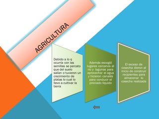 AGRICULTURA
 