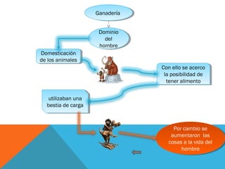 GanaderíaGanadería
Dominio
del
hombre
Dominio
del
hombre
Domesticación
de los animales
Domesticación
de los animales
Con ello se acerco
la posibilidad de
tener alimento
Con ello se acerco
la posibilidad de
tener alimento
utilizaban una
bestia de carga
utilizaban una
bestia de carga
Por cambio se
aumentaron las
cosas a la vida del
hombre
Por cambio se
aumentaron las
cosas a la vida del
hombre
 