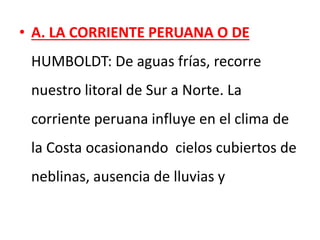 • A. LA CORRIENTE PERUANA O DE
HUMBOLDT: De aguas frías, recorre
nuestro litoral de Sur a Norte. La
corriente peruana influye en el clima de
la Costa ocasionando cielos cubiertos de
neblinas, ausencia de lluvias y
 