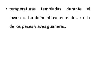 • temperaturas templadas durante el
invierno. También influye en el desarrollo
de los peces y aves guaneras.
 