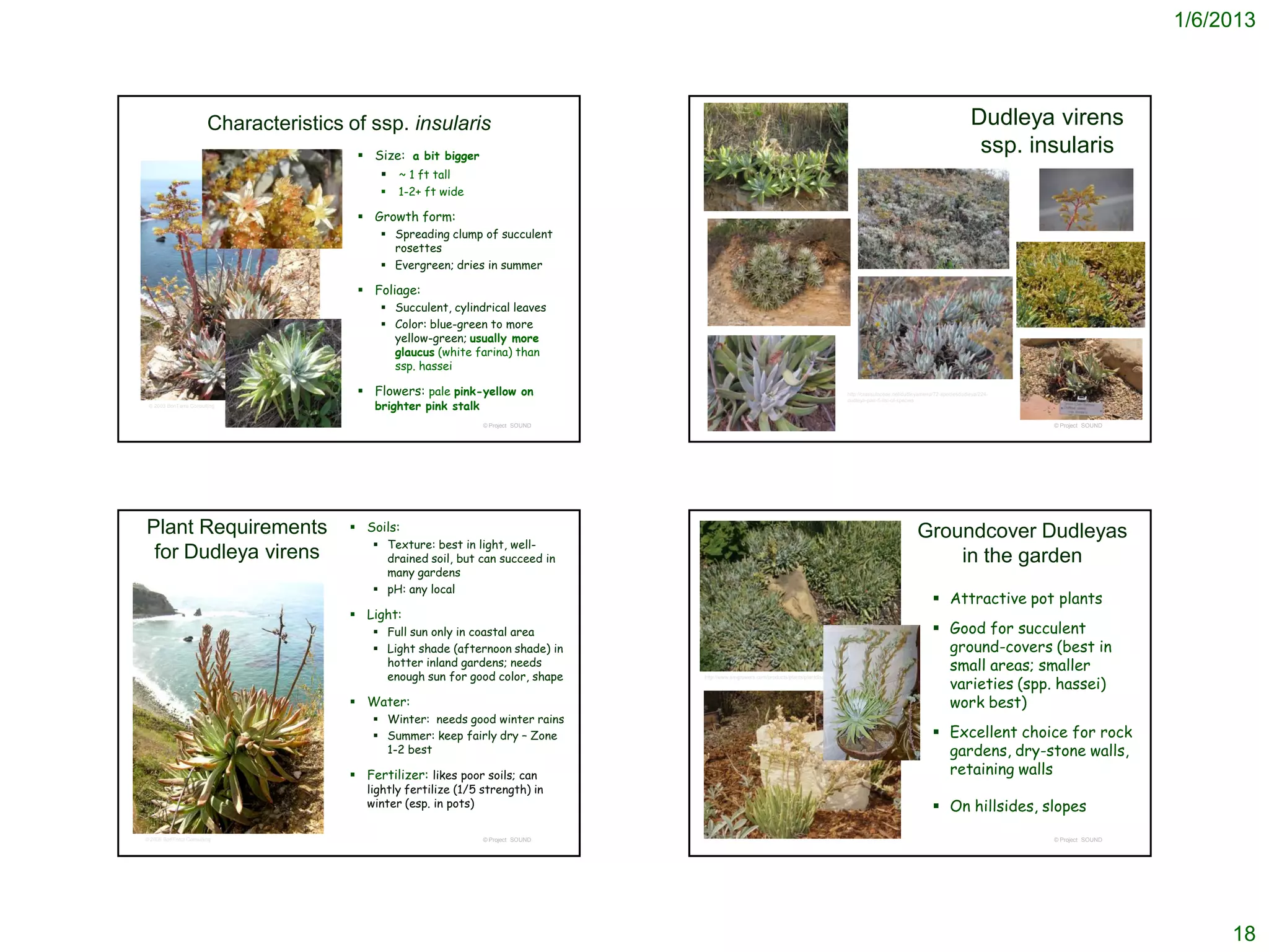 1/6/2013



                        Characteristics of ssp. insularis                                                                                                                                       Dudleya virens
                                          Size: a bit bigger
                                                                                                                                                                                                 ssp. insularis
                                             ~ 1 ft tall
                                                1-2+ ft wide

                                          Growth form:
                                              Spreading clump of succulent
                                               rosettes
                                              Evergreen; dries in summer

                                          Foliage:
                                              Succulent, cylindrical leaves
                                              Color: blue-green to more
                                               yellow-green; usually more
                                               glaucus (white farina) than
                                               ssp. hassei

                                          Flowers: pale pink-yellow on                                                                       http://crassulaceae.net/dudleyamenu/72-speciesdudleya/224-

                                            brighter pink stalk
                                                                                                                                              dudleya-part-5-list-of-species
 © 2003 BonTerra Consulting


                                                                  © Project SOUND                                                                                                                          © Project SOUND




Plant Requirements                       Soils:                                                                                                                          Groundcover Dudleyas
                                             Texture: best in light, well-
 for Dudleya virens                           drained soil, but can succeed in                                                                                                in the garden
                                              many gardens
                                             pH: any local
                                                                                                                                                                                  Attractive pot plants
                                         Light:
                                             Full sun only in coastal area                                                                                                       Good for succulent
                                             Light shade (afternoon shade) in                                                                                                     ground-covers (best in
                                              hotter inland gardens; needs                                                                                                         small areas; smaller
                                              enough sun for good color, shape
                                                                                                                                                                                   varieties (spp. hassei)
                                                                                    http://www.smgrowers.com/products/plants/plantdisplay.asp?plant_id=2987




                                         Water:                                                                                                                                   work best)
                                             Winter: needs good winter rains
                                             Summer: keep fairly dry – Zone                                                                                                      Excellent choice for rock
                                              1-2 best                                                                                                                             gardens, dry-stone walls,
                                         Fertilizer: likes poor soils; can                                                                                                        retaining walls
                                           lightly fertilize (1/5 strength) in
                                           winter (esp. in pots)                                                                                                                  On hillsides, slopes
© 2005 BonTerra Consulting                                        © Project SOUND                                                                                                                          © Project SOUND




                                                                                                                                                                                                                                  18
 