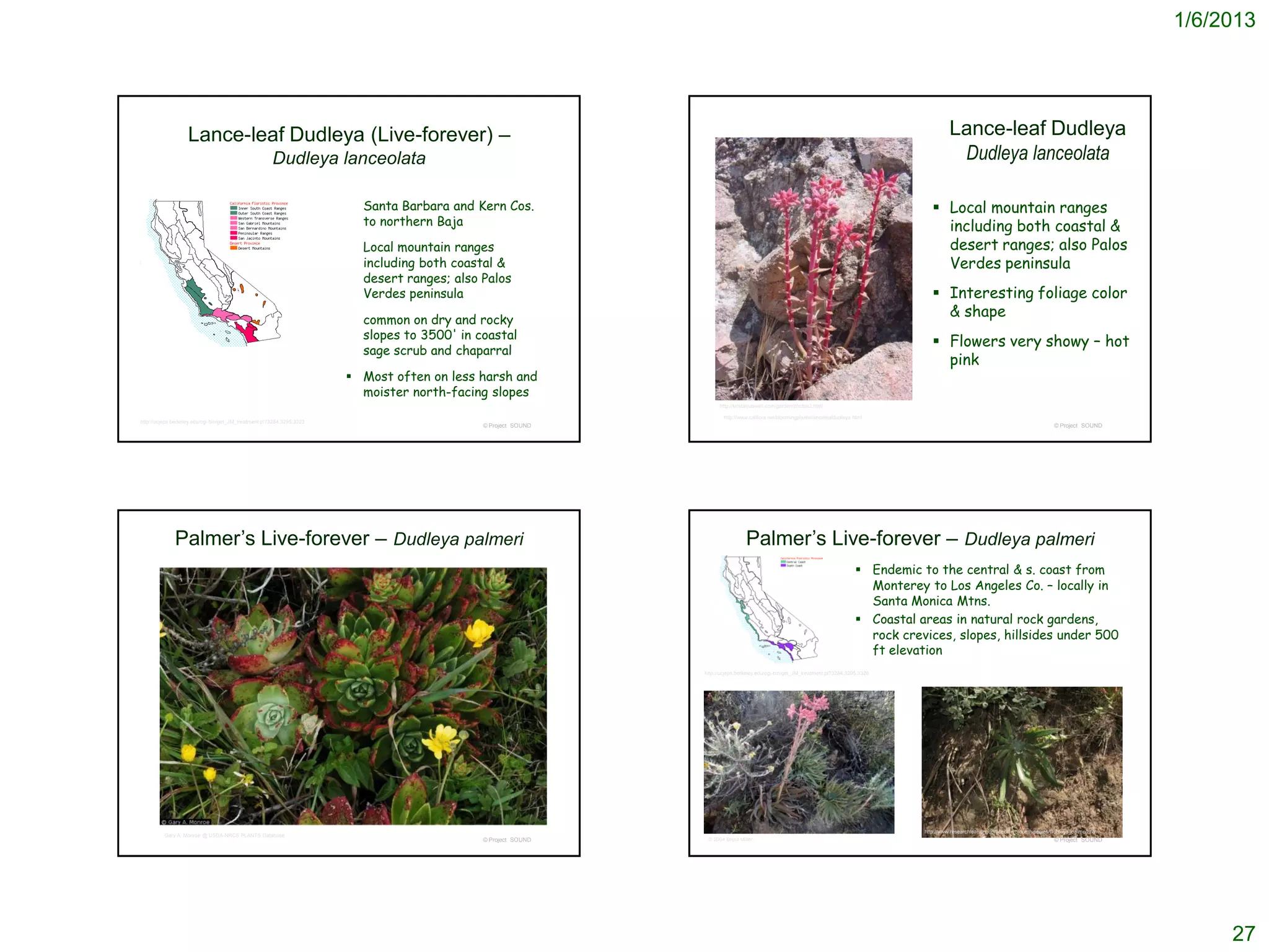 1/6/2013




                   Lance-leaf Dudleya (Live-forever) –                                                                                                                                                Lance-leaf Dudleya
                                                       Dudleya lanceolata                                                                                                                              Dudleya lanceolata

                                                                         Santa Barbara and Kern Cos.                                                                                           Local mountain ranges
                                                                          to northern Baja                                                                                                       including both coastal &
                                                                         Local mountain ranges                                                                                                  desert ranges; also Palos
                                                                          including both coastal &                                                                                               Verdes peninsula
                                                                          desert ranges; also Palos
                                                                          Verdes peninsula                                                                                                      Interesting foliage color
                                                                         common on dry and rocky
                                                                                                                                                                                                 & shape
                                                                          slopes to 3500' in coastal
                                                                                                                                                                                                Flowers very showy – hot
                                                                          sage scrub and chaparral
                                                                                                                                                                                                 pink
                                                                         Most often on less harsh and
                                                                          moister north-facing slopes
                                                                                                                      http://kristamaxwell.com/garden/photos2.html

                                                                                                                        http://www.calflora.net/bloomingplants/lanceleafdudleya.html
http://ucjeps.berkeley.edu/cgi-bin/get_JM_treatment.pl?3284,3295,3323
                                                                                              © Project SOUND                                                                                                                                   © Project SOUND




              Palmer’s Live-forever – Dudleya palmeri                                                                            Palmer’s Live-forever – Dudleya palmeri
                                                                                                                                                                                  Endemic to the central & s. coast from
                                                                                                                                                                                   Monterey to Los Angeles Co. – locally in
                                                                                                                                                                                   Santa Monica Mtns.
                                                                                                                                                                                  Coastal areas in natural rock gardens,
                                                                                                                                                                                   rock crevices, slopes, hillsides under 500
                                                                                                                                                                                   ft elevation
                                                                                                                http://ucjeps.berkeley.edu/cgi-bin/get_JM_treatment.pl?3284,3295,3326




                                                                                                                                                                                            http://www.researchlearningcenter.com/bloom/species/Dudleya_palmeri.htm
          Gary A. Monroe @ USDA-NRCS PLANTS Database
                                                                                              © Project SOUND    © 2004 Brent Miller                                                                                                            © Project SOUND




                                                                                                                                                                                                                                                                           27
 