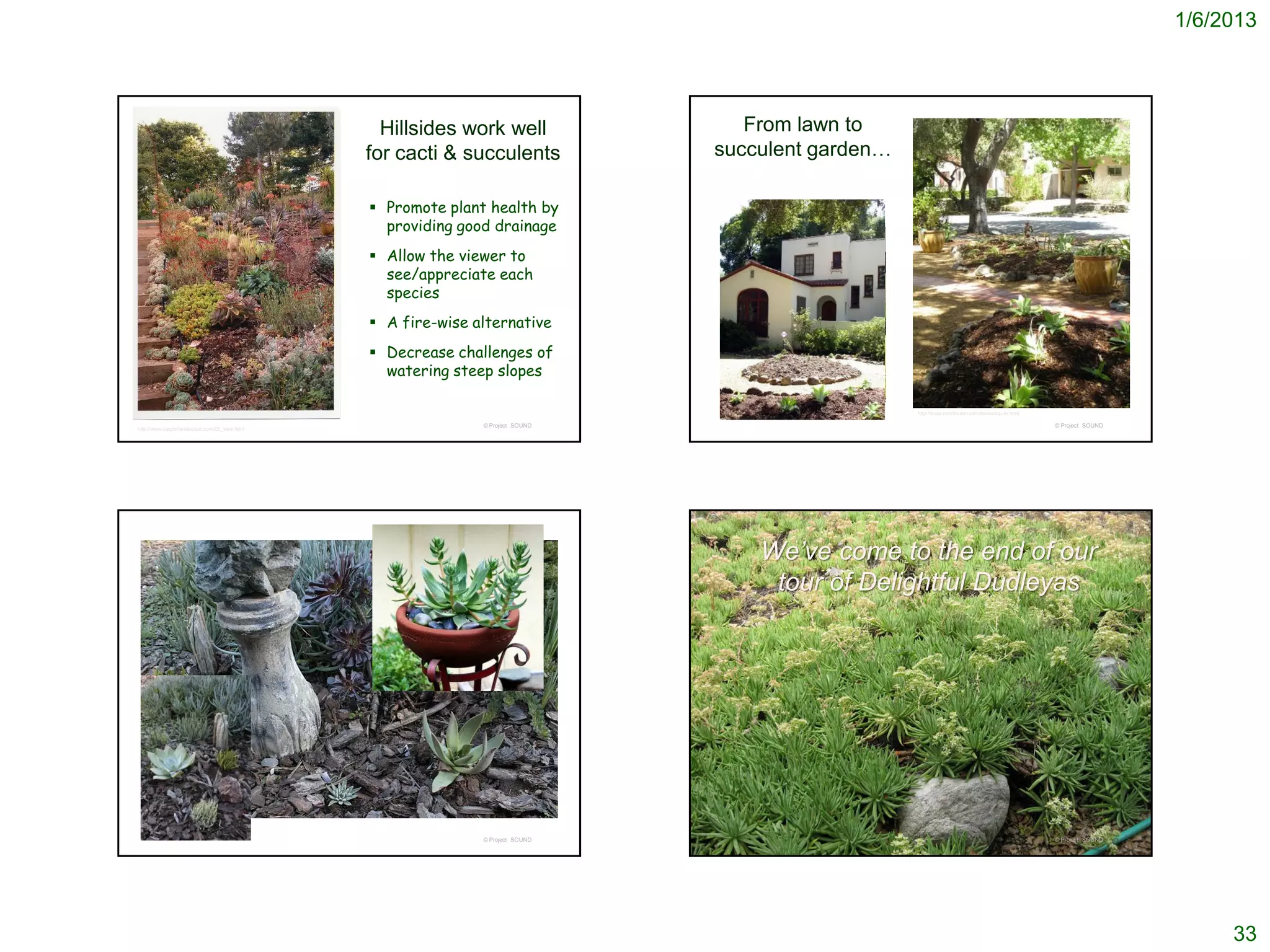 1/6/2013




                                                Hillsides work well               From lawn to
                                              for cacti & succulents           succulent garden…

                                               Promote plant health by
                                                providing good drainage
                                               Allow the viewer to
                                                see/appreciate each
                                                species
                                               A fire-wise alternative
                                               Decrease challenges of
                                                watering steep slopes

                                                                                                   http://www.indahbulan.com/tantenbaum.html

                                                             © Project SOUND                                                                   © Project SOUND
http://www.casperlandscape.com/22_view.html




                                                                                   We’ve come to the end of our
                                                                                    tour of Delightful Dudleyas




                                                             © Project SOUND                                                                   © Project SOUND




                                                                                                                                                                      33
 