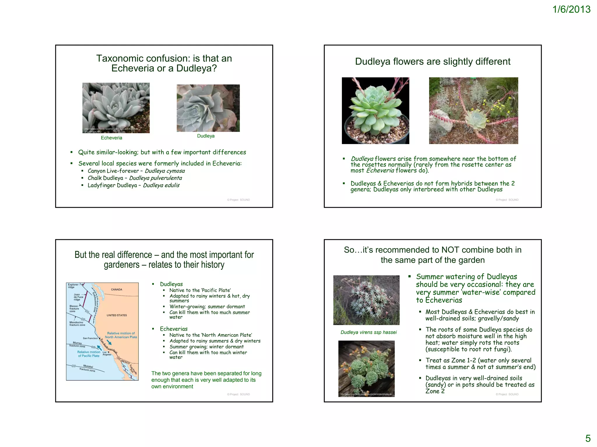 1/6/2013



               Taxonomic confusion: is that an                                                                            Dudleya flowers are slightly different
                  Echeveria or a Dudleya?




     http://www.collectorscorner.com.au/Cacti/Echeveri
     a%20main.htm

                   Echeveria                                                Dudleya


 Quite similar-looking; but with a few important differences
                                                                                                             Dudleya flowers arise from somewhere near the bottom of
 Several local species were formerly included in Echeveria:                                                  the rosettes normally (rarely from the rosette center as
    Canyon Live-forever – Dudleya cymosa                                                                     most Echeveria flowers do).
    Chalk Dudleya – Dudleya pulverulenta
    Ladyfinger Dudleya – Dudleya edulis                                                                     Dudleyas & Echeverias do not form hybrids between the 2
                                                                                                              genera; Dudleyas only interbreed with other Dudleyas
                                                                                         © Project SOUND                                                                                             © Project SOUND




                                                                                                              So…it’s recommended to NOT combine both in
 But the real difference – and the most important for
                                                                                                                        the same part of the garden
          gardeners – relates to their history
                                                                                                                                                                       Summer watering of Dudleyas
                                                            Dudleyas                                                                                                   should be very occasional: they are
                                                              Native to the ‘Pacific Plate’
                                                              Adapted to rainy winters & hot, dry
                                                                                                                                                                        very summer ‘water-wise’ compared
                                                               summers                                                                                                  to Echeverias
                                                              Winter-growing; summer dormant
                                                              Can kill them with too much summer                                                                         Most Dudleyas & Echeverias do best in
                                                               water                                                                                                       well-drained soils; gravelly/sandy
                                                            Echeverias                                                                                                   The roots of some Dudleya species do
                                                                                                           Dudleya virens ssp hassei
                                                                Native to the ‘North American Plate’                                                                      not absorb moisture well in the high
                                                                Adapted to rainy summers & dry winters                                                                    heat; water simply rots the roots
                                                                Summer growing; winter dormant
                                                                Can kill them with too much winter
                                                                                                                                                                           (susceptible to root rot fungi).
                                                                 water
                                                                                                                                                                          Treat as Zone 1-2 (water only several
                                                                                                                                                                           times a summer & not at summer’s end)
                                                         The two genera have been separated for long
                                                         enough that each is very well adapted to its                                                                     Dudleyas in very well-drained soils
                                                         own environment                                                                                                   (sandy) or in pots should be treated as
                                                                                         © Project SOUND   http://www.smgrowers.com/products/plants/plantdisplay.as
                                                                                                                                                                           Zone 2                    © Project SOUND
                                                                                                           p?plant_id=538




                                                                                                                                                                                                                             5
 