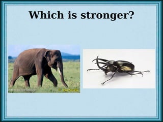 Which is stronger? 