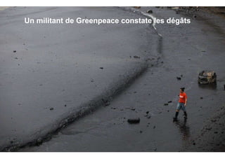 Un militant de Greenpeace constate les dégâts  