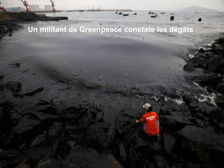 Un militant de Greenpeace constate les dégâts 