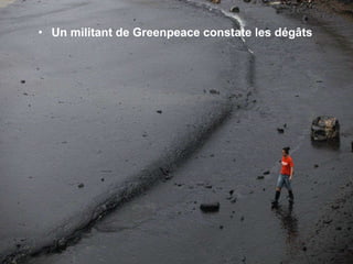 Un militant de Greenpeace constate les dégâts  