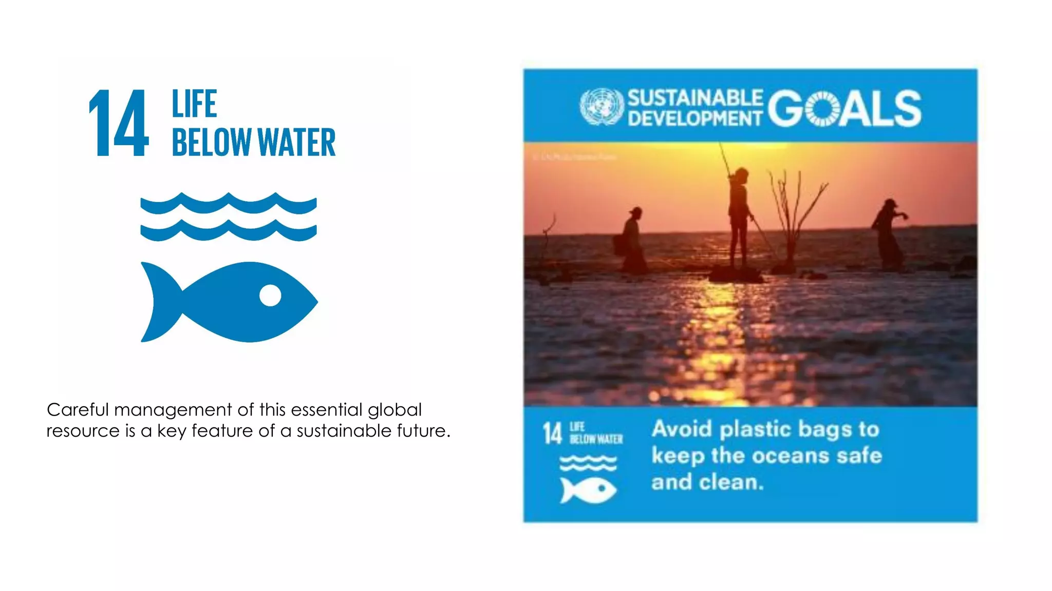 Careful management of this essential global
resource is a key feature of a sustainable future.
 