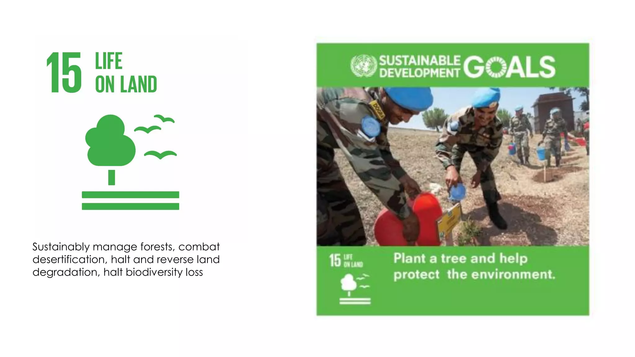 Sustainably manage forests, combat
desertification, halt and reverse land
degradation, halt biodiversity loss
 