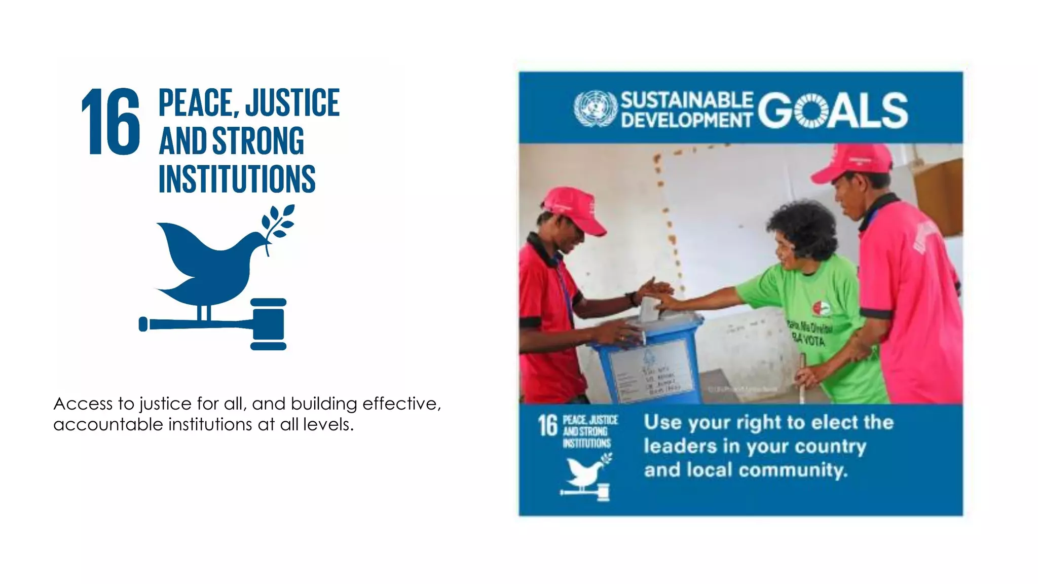 Access to justice for all, and building effective,
accountable institutions at all levels.
 