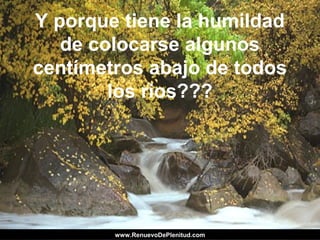 Y porque tiene la humildad
de colocarse algunos
centímetros abajo de todos
los rios???
www.RenuevoDePlenitud.comwww.RenuevoDePlenitud.com
 