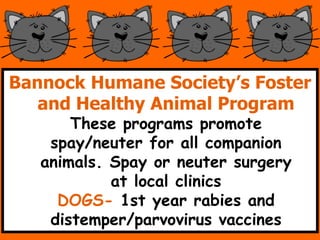 Bannock Humane Societys Foster
and Healthy Animal Program
These programs promote
spay/neuter for all companion
animals. Spay or neuter surgery
at local clinics
DOGS- 1st year rabies and
distemper/parvovirus vaccines
 