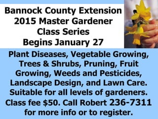 Bannock County Extension
2015 Master Gardener
Class Series
Begins January 27
Plant Diseases, Vegetable Growing,
Trees & Shrubs, Pruning, Fruit
Growing, Weeds and Pesticides,
Landscape Design, and Lawn Care.
Suitable for all levels of gardeners.
Class fee $50. Call Robert 236-7311
for more info or to register.
 