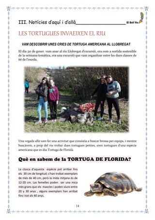 14
III. Notícies d’aquí i d’allà_________________
LES TORTUGUES INVAEIXEN EL RIU
VAM DESCOBRIR UNES CRIES DE TORTUGA AMERICANA AL LLOBREGAT
El dia 30 de gener vam anar al riu Llobregat d'excursió, era com a sortida sostenible
de la setmana temàtica, era una excursió que vam organitzar entre les dues classes de
6è de l'escola.
Una vegada allà vam fer una activitat que consistia a buscar brossa per equips, i mentre
buscàvem, a prop del riu trobar dues tortugues petites, eren tortugues d'una espècie
americana que es diu Tortuga de Florida.
Què en sabem de la TORTUGA DE FLORIDA?
La closca d’aquesta espècie pot arribar fins
els 30 cm de longitud; s’han trobat exemplars
de més de 40 cm, però la mida mitjana és de
12-20 cm. Las femelles poden ser una mica
més grans que els mascles i poden viure entre
20 y 30 anys , alguns exemplars han arribat
fins i tot als 40 anys.
 