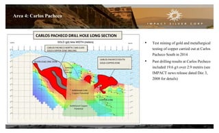 19
Area 4: Carlos Pacheco
• Test mining of gold and metallurgical
testing of copper carried out at Carlos
Pacheco South in 2014
• Past drilling results at Carlos Pecheco
included 19.6 g/t over 2.9 meters (see
IMPACT news release dated Dec 3,
2008 for details)
 