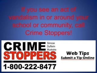 If you see an act of
vandalism in or around your
school or community, call
Crime Stoppers!
 