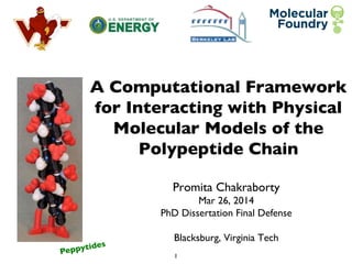 1	

A Computational Framework
for Interacting with Physical
Molecular Models of the
Polypeptide Chain	

Promita Chakraborty	

Mar 26, 2014	

PhD Dissertation Final Defense	

	

Blacksburg, Virginia Tech	

Peppytides	

 