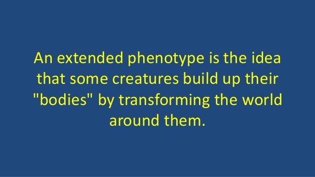 What is an extended phenotype?