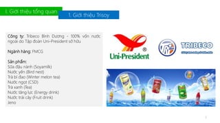 I. Giới thiệu tổng quan 
Công ty: Tribeco Bình Dương - 100% vốn nước 
ngoài do Tập đoàn Uni-President sở hữu 
Ngành hàng: FMCG 
Sản phẩm: 
Sữa đậu nành (Soyamilk) 
Nước yến (Bird nest) 
Trà bí đao (Winter melon tea) 
Nước ngọt (CSD) 
Trà xanh (Tea) 
Nước tăng lực (Energy drink) 
Nước trái cây (Fruit drink) 
Jeno 
1. Giới thiệu Trisoy 
3 
 
