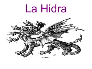 La Hidra 