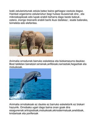 Izaki zelulaniztunak zelula batez baino gehiagoz osotuta dagoz. 
Hainbat organismo zelulaniztun begi hutsez ikusesinak dira , eta 
mikroskopikoak edo lupak erabili beharra dago beste batzuk , 
ostera ,inongo tresnarik erabili barik ikusi daitekez ; esate baterako, 
tximeleta edo elefantea. 
Animalia ornodunek barruko eskeletoa eta bizkarrazurra daukiez. 
Bost taldetan banatzen:arrainak,anfibioak,narrastiak,hegaztiak eta 
moluskoak. 
Animalia ornobakoak ez daukie ez barruko eskeletorik ez biskarr 
hazurrik. Ornobako ugari dago baina onan goak dira 
esagunenak:artropodoak,moluskoak,ekinodermatuak,anelidoak, 
knidarioak eta poriferoak 
 