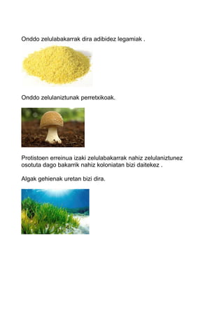 Onddo zelulabakarrak dira adibidez legamiak . 
Onddo zelulaniztunak perretxikoak. 
Protistoen erreinua izaki zelulabakarrak nahiz zelulaniztunez 
osotuta dago bakarrik nahiz koloniatan bizi daitekez . 
Algak gehienak uretan bizi dira. 
 