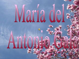 María del Antonio Gala 