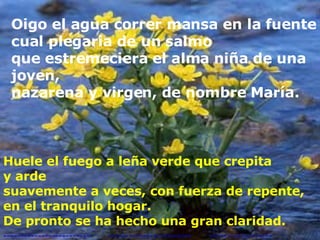 Oigo el agua correr mansa en la fuente cual plegaria de un salmo que estremeciera el alma niña de una joven,  nazarena y virgen, de nombre María.   Huele el fuego a leña verde que crepita  y arde suavemente a veces, con fuerza de repente,  en el tranquilo hogar. De pronto se ha hecho una gran claridad.   -------------------------  ------------------------  ------------------ 