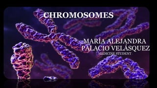 MARÍA ALEJANDRA
PALACIO VELÁSQUEZ
MEDICINE STUDENT
CHROMOSOMES
 