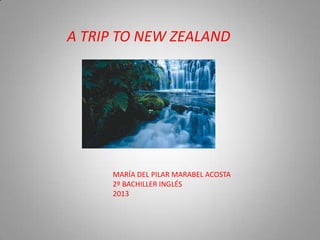 A TRIP TO NEW ZEALAND
MARÍA DEL PILAR MARABEL ACOSTA
2º BACHILLER INGLÉS
2013
 