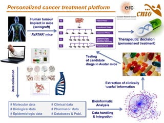 Personalized cancer treatment platform
Human tumour
implant in mice
(xenograft)
‘AVATAR’ mice
Bioinformatic
Analysis
Data handling
& integration
Testing
of candidate
drugs in Avatar mice
Therapeutic decision
(personalised treatment)
Datacollection
# Molecular data # Clinical data
# Biological data # Pharmacol. data
# Epidemiologic data # Databases & Publ.
Extraction of clinically
‘useful’ information
 