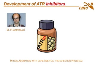Development of ATR inhibitors
IN COLLABORATION WITH EXPERIMENTAL THERAPEUTICS PROGRAM
O. F-CAPETILLO
 