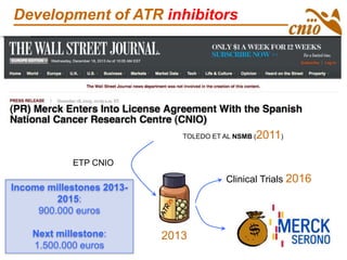 10 Gy + ATRi mM
ATMp
Chk1p
TOLEDO ET AL NSMB (2011)
Clinical Trials 2016
2013
ETP CNIO
Development of ATR inhibitors
Income millestones 2013-
2015:
900.000 euros
Next millestone:
1.500.000 euros
 