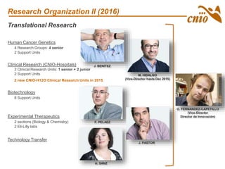 Translational Research
Human Cancer Genetics
4 Research Groups: 4 senior
2 Support Units
Clinical Research (CNIO-Hospitals)
3 Clinical Research Units: 1 senior + 2 junior
2 Support Units
2 new CNIO-H12O Clinical Research Units in 2015
Biotechnology
8 Support Units
Experimental Therapeutics
2 sections (Biology & Chemistry)
2 Eli-Lilly labs
Technology Transfer
J. BENITEZ
M. HIDALGO
(Vice-Director hasta Dec 2015)
O. FERNANDEZ-CAPETILLO
(Vice-Director
Director de Innovación)
F. PELAEZ
J. PASTOR
Research Organization II (2016)
A. SANZ
 